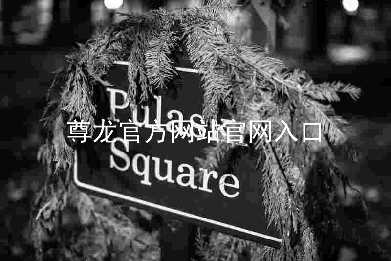 尊龙官方网站官网入口