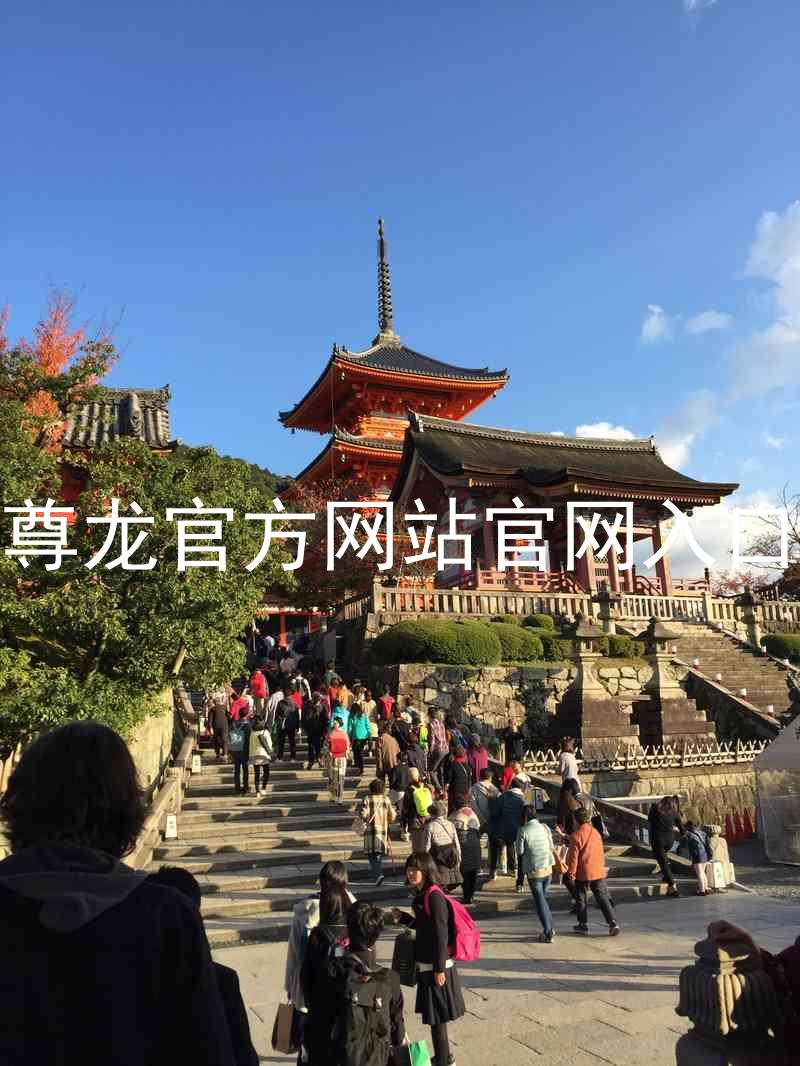 尊龙官方网站官网入口