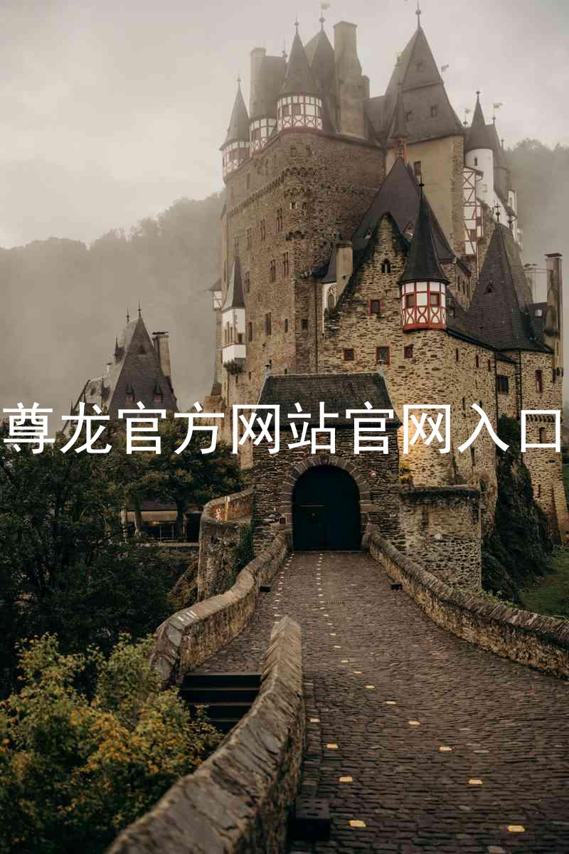 尊龙官方网站官网入口