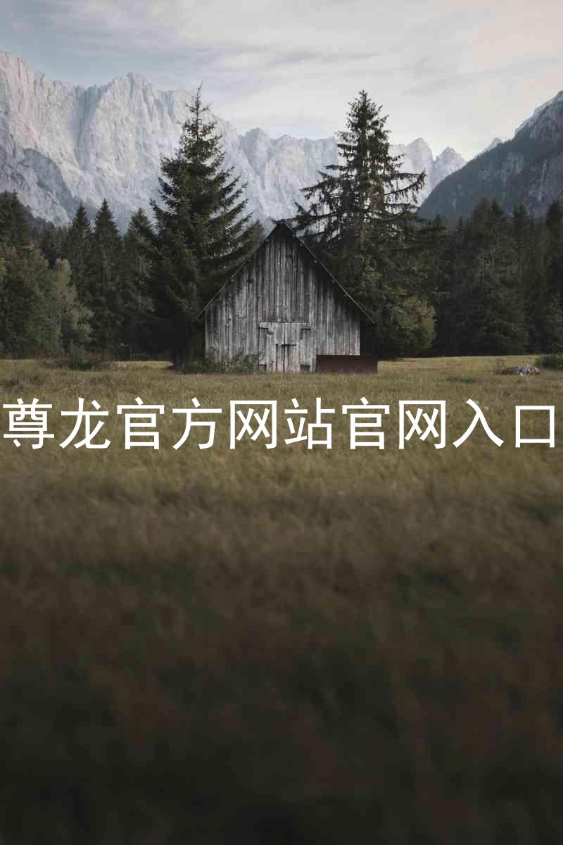 尊龙官方网站官网入口