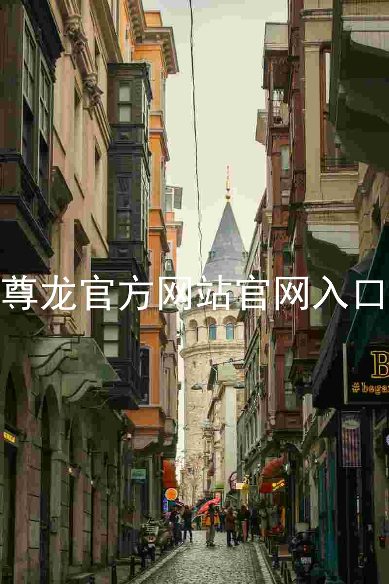 尊龙官方网站官网入口